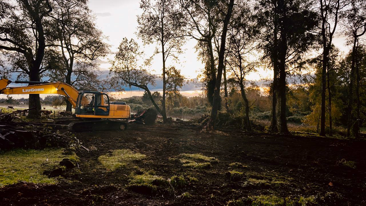 Limpieza de Parcela en Sector Rural
